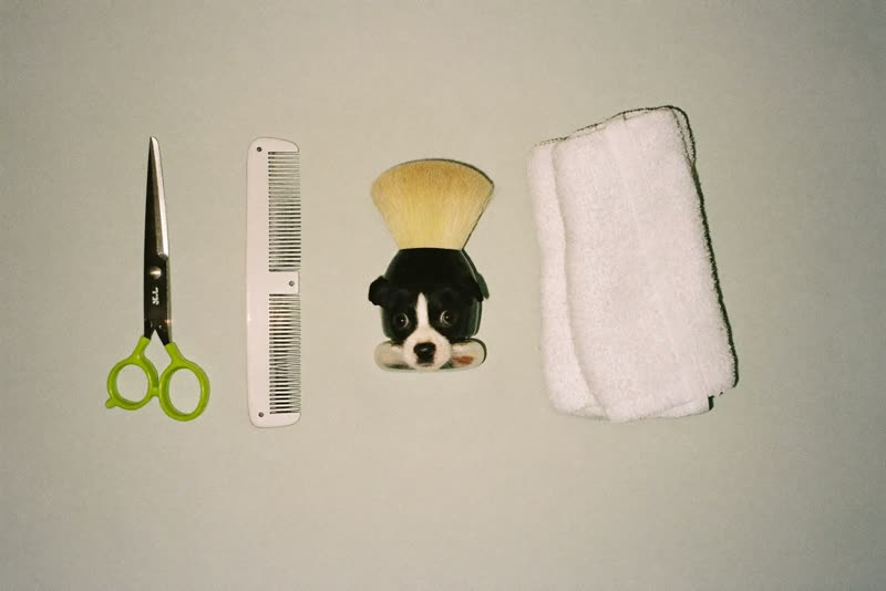 Barbering tools laid out in a row on a plain pastel surface