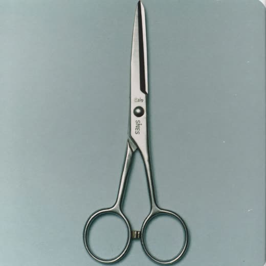 Stainless steel barber scissors on a plain pastel surface
