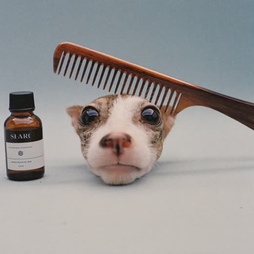 A beard comb and a plain amber glass bottle of oil on a plain pastel surface